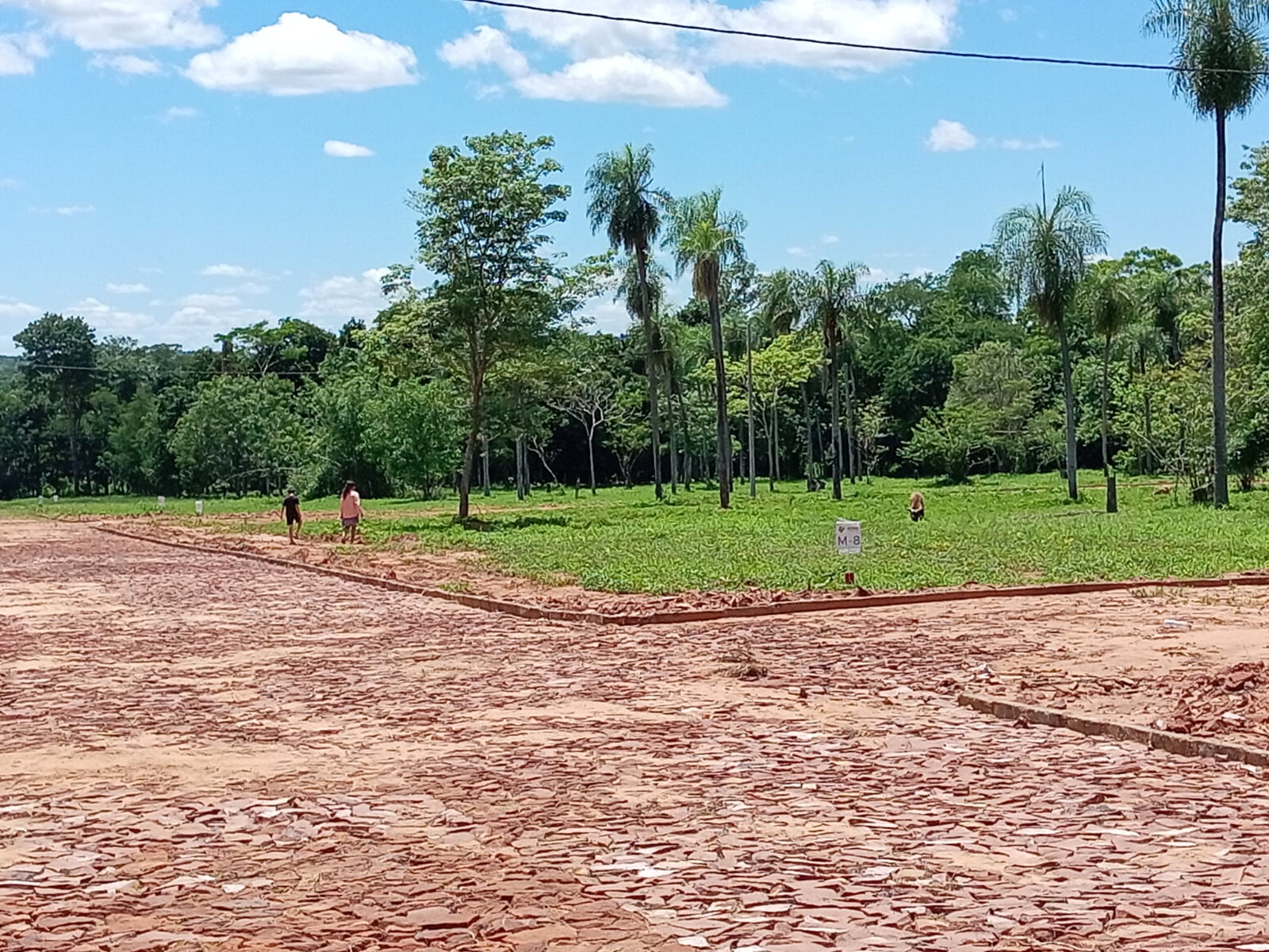 Imagen principal del proyecto